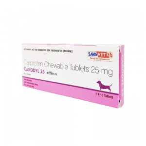 리마딜 칼프로펜 CARODYL 25mg 60정