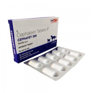 세파셉틴 세팔렉신 Cephavet 300mg