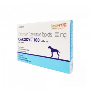 리마딜 칼프로펜 CARODYL 100mg 36정