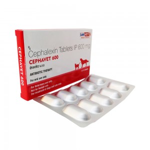 세파셉틴 세팔렉신 Cephavet 600mg