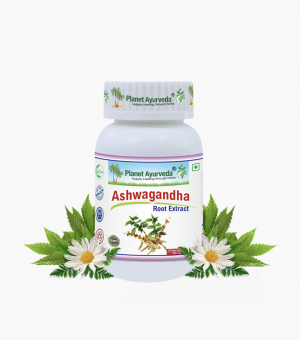 ASHWAGANDHA CAPSULES 아쉬아간다 캡슐