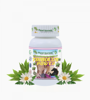 TRIBULUS POWER 트리불러스 파워